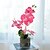 cheap Artificial Plants-Three Fabric Phalaenopsis Bonsai With Foam Basin Overall Height 45cm, Flower Pot Height 8.5cm, Flower Pot Diameter 10cm