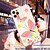 billige iPhone-etuier-IMD Flower TPU for Apple iPhone Case 11 Pro Max X XR XS Max 8 Plus 7 Plus SE(2020) Protection Cover