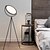 cheap Lights &amp; Lighting-Floor Lamp Adjustable / LED / Decorative Simple / Nordic Style DC Powered For Living Room / Bedroom Metal 110-120V / 220-240V White / Black