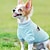 baratos Suéteres-Cachorro Súeters Moletom Roupas de cachorro Moletons Pulôver Casual Diário Inverno Roupas para cães