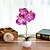cheap Artificial Plants-Three Round Phalaenopsis Bonsai With Ceramic Holder Whole H28cm, Holder H4.5cm