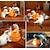 お買い得  猫用おもちゃ-ボール型 ネコ用おやつ インタラクティブ･トレーニング インタラクティブトイ ネコ用インタラクティブおもちゃ 楽しい猫のおもちゃ ネコ 子猫 1 タワー型ボール玩具 プラスチック ギフト ペットのおもちゃ ペットプレイ