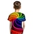 cheap Boy&#039;s 3D T-shirts-Boys 3D Color Block Rainbow Optical Illusion T shirt Short Sleeve 3D Print Summer Active Sports Streetwear Polyester Kids Toddler 2-13 Years Daily