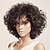cheap Black &amp; African Wigs-Synthetic Wig Deep Curly Asymmetrical With Bangs Wig Short Brown Synthetic Hair 14 inch Women&#039;s Fashionable Design Exquisite Fluffy Brown