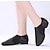 זול נעלי ג&#039;אז-בגדי ריקוד נשים נעלי ג&#039;אז נעלי ריקוד הדרכה שטוחות סוליה חצויה אימון שטוח אֵלַסטִי להחליק על שחור קאמל