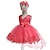 Χαμηλού Κόστους Φορέματα-Μωρό Κοριτσίστικα Φόρεμα Ενεργό Βασικό Πάρτι Γενέθλια Βαμβάκι Λευκό Ρουμπίνι Θαλασσί Μονόχρωμο Δαντέλα Αμάνικο Ως το Γόνατο