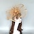 preiswerte Faszinator-Fascinators Kentucky Derby Hut Kopfbedeckung Federn Netz Hochzeit Pferderennen Melbourne Cup Cocktail Royal Astcot Kopfbedeckungen mit Federkappe Kopfbedeckung Kopfbedeckung