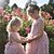 tanie Sukienki-Dzieci Brzdąc Dla dziewczynek Sukienka Solidne kolory Kwiat Bez rękawów Przyjęcie urodzinowe Koronka Z marszczeniami Aktywny Śłodkie Bawełna Koronka Tiul Midi Biały Rumiany róż