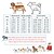 baratos Casacos-Casaco para cães à prova d'água à prova de vento reversível para cães casaco de inverno leve e quente jaqueta para cães colete reflexivo para cães roupas para clima frio roupas para cães pequenos e