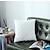 お買い得  織り目加工枕-装飾トス枕 1 ピース スーパーソフトベルベット枕カバー 正方形 装飾枕カバー ベッド カウチ ソファ ベンチ用 18 x 18 インチ (45 cm) ピンク ブルー セージ グリーン