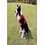 baratos Casacos-Casaco para cães à prova d'água à prova de vento reversível para cães casaco de inverno leve e quente jaqueta para cães colete reflexivo para cães roupas para clima frio roupas para cães pequenos e