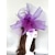 billige Fascinators-fascinators kentucky derby hat hovedbeklædning fjer net bryllup hestevæddeløb damer dag melbourne kop cocktail hovedbeklædning med fjer hætte hovedbeklædning hovedbeklædning