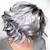 cheap Synthetic Trendy Wigs-Silver Wigs For Women Synthetic Wig Curly Kinky Straight Pixie Cut Wig Short Silver Grey 14 Inch