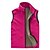 cheap Hiking Vests-Women&#039;s Hiking Fleece Vest Top Outdoor Thermal Warm Windproof Breathable Quick Dry Winter Polyester Black Purple Sky Blue Hunting Ski / Snowboard Fishing