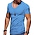 Χαμηλού Κόστους Ανδρικά μπλουζάκια casual-Ανδρικά Μπλουζάκι Κοντομάνικα Σκέτο Λαιμόκοψη V Κανονικό Κοντομάνικο Φερμουάρ Ρούχα Μυς Ουσιαστικό