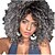 cheap Synthetic Trendy Wigs-Gray Wigs for Women Gray Kinky Curly Wig Afro American Wigs Soft Synthetic Wig for Fashion Women
