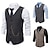cheap Historical &amp; Vintage Costumes-The Great Gatsby Retro Vintage Medieval Vest Men&#039;s Cotton Costume Black / Gray / Coffee Vintage Cosplay Party Halloween Sleeveless