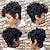 preiswerte Hochwertige Perücken-schwarze Perücken für Frauen kurze ombre braune schwarze lockige Haarperücken für schwarze Frauen synthetische kurze Perücken für schwarze Frauen afroamerikanische Frauenperücken