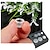 cheap Kitchen Storage-1000pcs tattoo ink caps cups small 9mm tattoo pigment cups microblading ink cups for tattoo supplies tattoo ink tattoo kits eyebrow microblading tools &amp;amp; #40;9mm-1000pcs&amp;amp; #41;