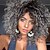cheap Synthetic Trendy Wigs-Gray Wigs for Women Gray Kinky Curly Wig Afro American Wigs Soft Synthetic Wig for Fashion Women