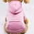 tanie Ubrania dla psów-Nowa zimowa bluza z kapturem dla psa bluzy z kieszeniami bawełniane ciepłe ubrania dla psów dla małych psów płaszcz chihuahua odzież szczeniak kot kostium różowy