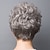 cheap Older Wigs-Synthetic Wig Curly Pixie Cut Wig Short Dark Brown Silver Synthetic Hair Women&#039;s Fashionable Design Cool Exquisite Silver Dark Brown