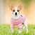お買い得  犬用服-犬 セーター 子犬の服 冬 犬用ウェア 子犬の服 犬の衣装 パープル ブルー ピンク コスチューム 女の子と男の子の犬のために コットン XS S M L XL