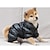 levne Oblečky pro psy-zimní psí kabát voděodolný větruodolný psí kombinéza teplý fleece polstrovaný zimní obleček pro čivavu pudly francouzský buldoček pomeranian malé psy (červená)