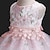 cheap Movie &amp; TV Theme Costumes-Princess Dress Party Costume Flower Girl Dress Girls&#039; Movie Cosplay Princess Purple / Yellow / Pink Dress Children&#039;s Day Masquerade Polyester