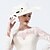 cheap Party Hats-Tulle / Chiffon / Lace Fascinators / Hats with 1 Wedding / Special Occasion / Birthday Headpiece