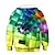cheap Boy&#039;s 3D Hoodies&amp;Sweatshirts-Kids Boys&#039; Hoodie Long Sleeve Rainbow 3D Print Optical Illusion Geometric Drawstring School Daily Outdoor Active Basic 2-12 Years / Fall / Winter / Spring