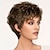 cheap Older Wigs-Brown Wigs for Women Synthetic Wig Straight Bob Wig Short Brown Synthetic Hair Women‘s Fashionable Design Highlighted / Balayage Hair Exquisite Brown Wigs