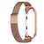cheap Smartwatch Bands-Watch Band for Xiaomi Band 4 / Xiaomi Band 5 Xiaomi Milanese Loop Stainless Steel Wrist Strap