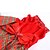 お買い得  犬用服-犬 ドレス 子犬の服 文字＆番号 クリスマス 冬 犬用ウェア 子犬の服 犬の衣装 レッド コスチューム 女の子と男の子の犬のために テリレン XS S M L XL
