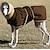 halpa Koiran vaatteet-koiran talvitakki,koiran takki tuulenpitävä paksu koirien liivi vaatteet lämpimällä kaulapantalla koiran huppari asu pienelle keskisuurelle koiran nalle kultainennoutaja alaska