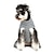 billige Hundetøj-hundefrakke, hundetrøjer sport&amp;amp; udendørs stilfuld sød stil retro vintage vinter hundetøj hvalpetøj hundetøj varm pink hud pudder blå kostume