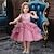 cheap Dresses-Kids Little Girls&#039; Party Dress Solid Colored Layered Dress Mesh Patchwork Bow Blue Red Blushing Pink Knee-length Sleeveless Basic Sweet Dresses Regular Fit 2-10 Years