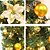 cheap Décor &amp; Night Lights-2.7M Christmas Rattan Garland Decorative Green Christmas Garland Artificial Xmas Tree Rattan Banner Decoration