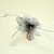 cheap Fascinators-Feather Hair Combs with Feathers / Fur 1 Piece Wedding / Special Occasion / Horse Race Headpiece