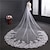 cheap Wedding Veils-One-tier Cute Wedding Veil Cathedral Veils with Embroidery 62.99 in (160cm) Lace / Oval