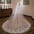 baratos Véus de Noiva-Uma Camada Estilo bonito Véus de Noiva Véu Catedral com Bordado 62,99 pol. (160 cm) Renda / Oval