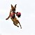 olcso Kutyajátékok-rágójáték interaktív karneváli játék kutya játék kutya kötél labda zápfogó harapás játék kötélhúzó játék kutyajáték játék kutya 1db csont hőálló pamut ajándék kisállat játék kisállat játék