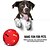 abordables Jouets pour chiens-Balle Jouets de mastication Jouet interactif Boules grinçantes Jouet pour chien Chien Chat 1pc Sécurité Economique Élastique Dressage d&#039;animaux Fuite Caoutchouc Cadeau Jouet pour animaux de compagnie