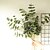 billige Kunstige planter-1 stk kunstige planter blader hjem dekor simulering eukalyptus blader bryllupsfest display ， dekor for hjem, stue, bad plante 25 * 77 cm