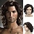 cheap Mens Wigs-Cosplay Costume Wig Synthetic Wig Wavy Wavy With Bangs Wig Short Medium Length Black Synthetic Hair Men&#039;s Side Part Natural Black