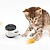 billiga Kattleksaker-katt jagar leksak balans bil design katt interaktiva leksaker icke-batteri själv roterande bil katt leksak med katt kattmunstycke chaser kul pussel leksak för katt kattunge iq aktiv stimulering
