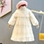 abordables Vestidos casuales-Kids Little Girls&#039; Dress Solid Colored Ruffle Lace Beige Knee-length Long Sleeve Cute Sweet Dresses