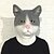 Χαμηλού Κόστους Μάσκες-Αποκριάτικες Μάσκες Μάσκα ζώο Πάρτι Γάτα Θέμα τρόμου Κόλλα Ενηλίκων Γιούνισεξ Παιχνίδια Δώρο