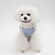 voordelige Hondenkleding-Hond Jassen Puppy kleding dier Winter Hondenkleding Puppy kleding Hondenoutfits Ademend Blauw Roze Kostuum voor Girl and Boy Dog Fleece XS S M L XL