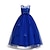 preiswerte Partykleider-Kinderkleid für kleine Mädchen, Jacquard-Druck, Blau, Rosa, Wein, Maxi, ärmellos, Blume, niedliche Kleider